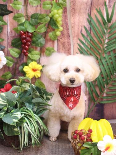 20230818ランチちゃん